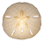 sdolarw2.gif